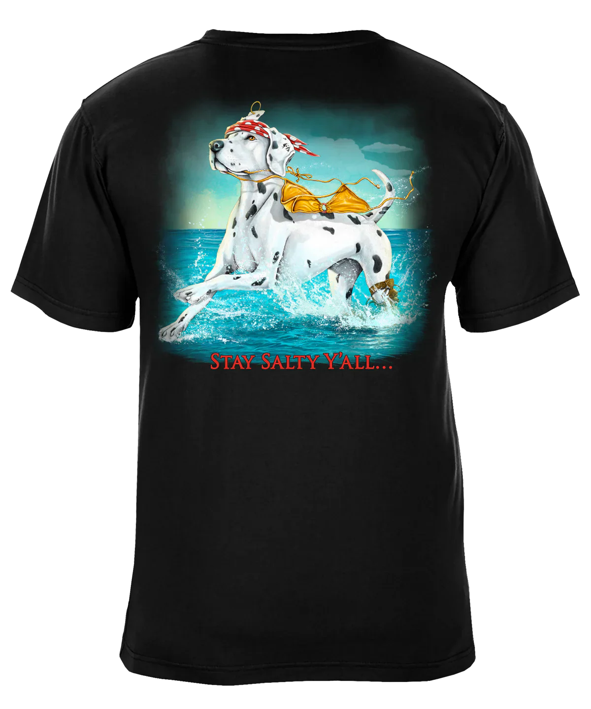 Stay Salty Y'All T-Shirt