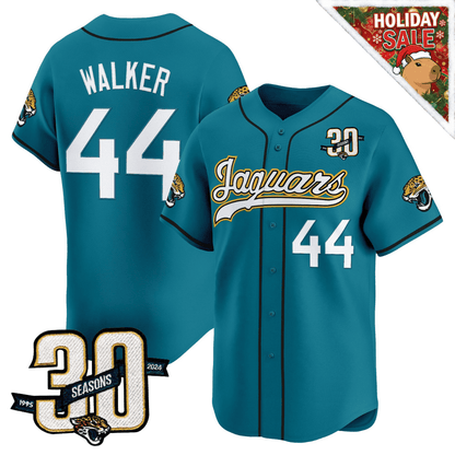 DET 30th Season patch 2025 Vapor Baseball Jersey – All Stitched