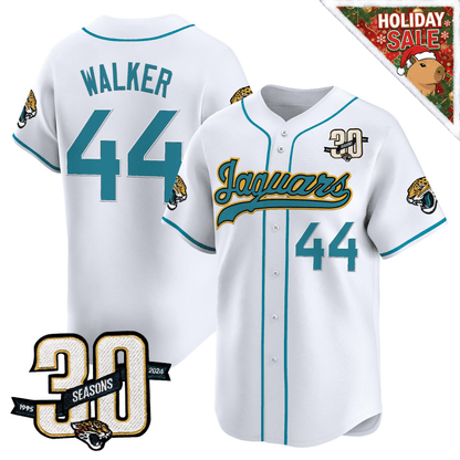 DET 30th Season patch 2025 Vapor Baseball Jersey – All Stitched