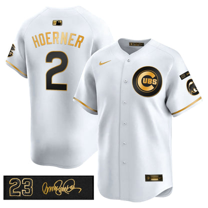 Men's Chicago Cubs 'Ryne Sandberg Tribute' Vapor Premier Limited Jersey V3 - All Stitched