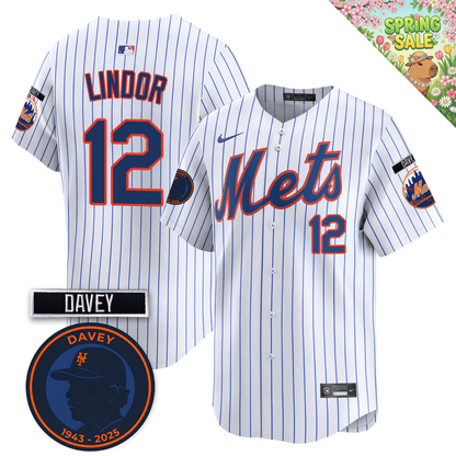 NYM 2026 Davey Johnson Memorial Vapor Limited Jersey V2 - All Stitched